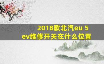 2018款北汽eu 5ev维修开关在什么位置